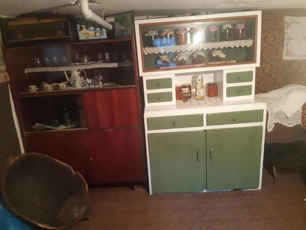 Ferienwohnung Seosko Turisticko Domacinstvo Stojkovic Aleksinac Exterior foto