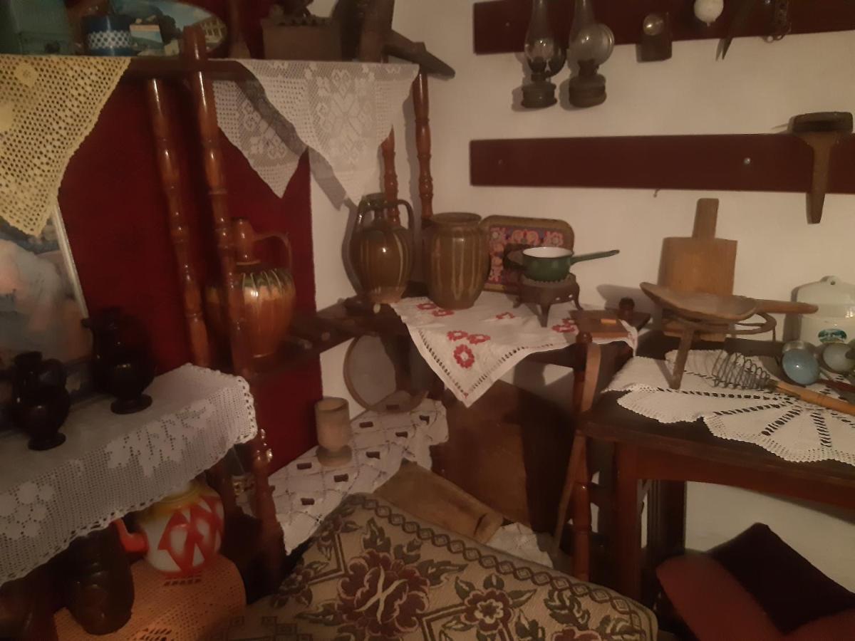 Ferienwohnung Seosko Turisticko Domacinstvo Stojkovic Aleksinac Exterior foto