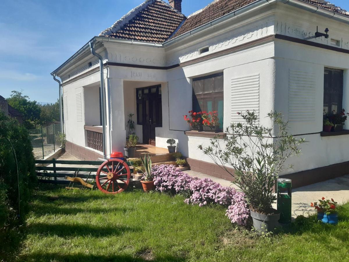 Ferienwohnung Seosko Turisticko Domacinstvo Stojkovic Aleksinac Exterior foto