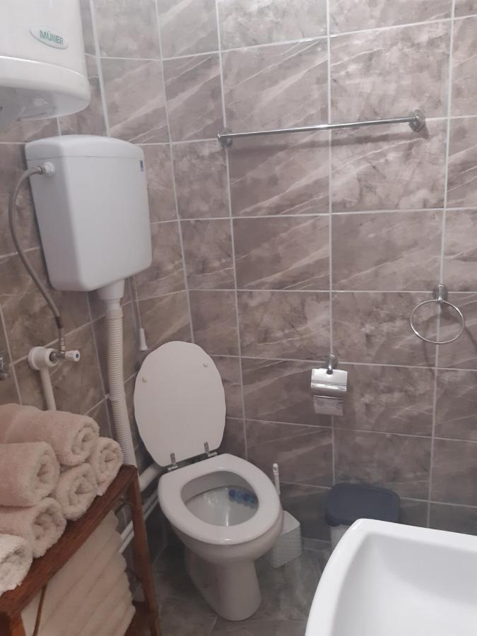 Ferienwohnung Seosko Turisticko Domacinstvo Stojkovic Aleksinac Exterior foto